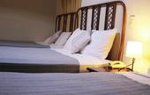 Туры в отель Hotel Plaza Kavia