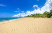 Туры в отель Xeliter Green One Playa Dorada