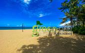Туры в отель Xeliter Green One Playa Dorada
