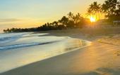 Туры в отель Xeliter Green One Playa Dorada