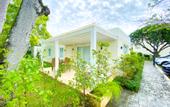 Туры в отель Xeliter Green One Playa Dorada