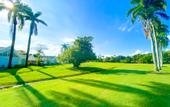 Туры в отель Xeliter Green One Playa Dorada