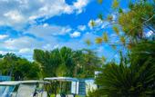 Туры в отель Xeliter Green One Playa Dorada