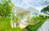 Туры в отель Xeliter Green One Playa Dorada
