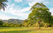Туры в отель Hacienda La Huerta