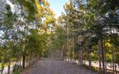Туры в отель Hacienda La Huerta