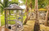 Туры в отель Brunei Hotel Boutique