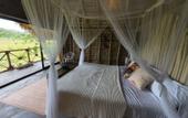 Туры в отель Dominican Jungle Resort