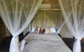 Туры в отель Dominican Jungle Resort