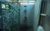 Туры в отель Dominican Jungle Resort