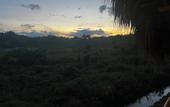 Туры в отель Dominican Jungle Resort