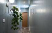 Туры в отель Bird Nest Near Arkan Plaza
