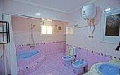 Туры в отель Nile x hostel