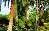 Туры в отель Maritim Jolie Ville Kings Island Luxor