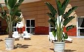 Туры в отель Hotel TRH La Motilla