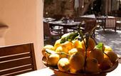 Туры в отель Hotel Segles