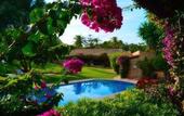 Туры в отель Rotana la Reserva