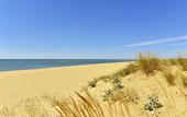 Туры в отель Vila Gale Isla Canela Resort Hotel