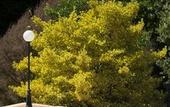Туры в отель Rusticae Casa A Pedreira
