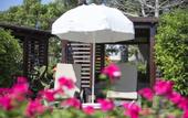 Туры в отель Pine Beach Belek