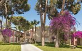 Туры в отель Pine Beach Belek