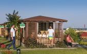 Туры в отель Pine Beach Belek