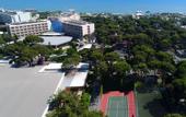 Туры в отель Pine Beach Belek