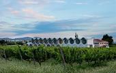 Туры в отель Mastinell Cava & Boutique Hotel by Olivia Hotels Collection
