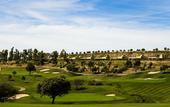 Туры в отель Hotel Vincci Valdecanas Golf