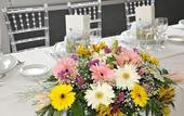 Туры в отель Hotel Salobrena Suites