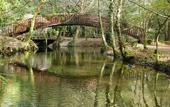 Туры в отель Balneario Acuna