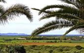 Туры в отель Hotel Rural Es Turo