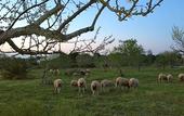 Туры в отель Hotel Rural Es Turo