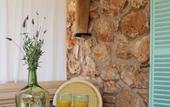 Туры в отель Hotel Rural Es Turo