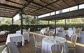 Туры в отель Hotel La Malcontenta