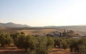 Туры в отель Hotel Cortijo del Marques