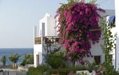 Туры в отель Maritimo Beach Hotel
