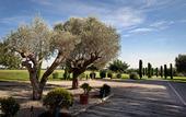 Туры в отель Mas Falgarona Hotel Boutique and Spa