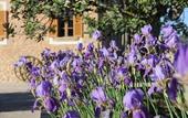 Туры в отель Finca Can Estades
