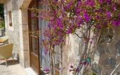 Туры в отель Finca Can Estades
