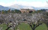 Туры в отель Finca Can Estades
