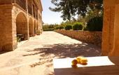 Туры в отель Finca Can Estades
