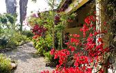 Туры в отель Finca Hotel Predio Son Serra