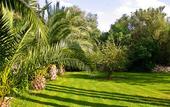 Туры в отель Finca Hotel Predio Son Serra