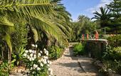 Туры в отель Finca Hotel Predio Son Serra