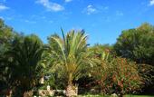Туры в отель Finca Hotel Predio Son Serra