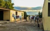 Туры в отель Finca Hotel Predio Son Serra