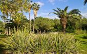 Туры в отель Finca Hotel Predio Son Serra