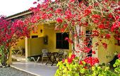 Туры в отель Finca Hotel Predio Son Serra