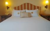 Туры в отель Hotel Cigarral De Caravantes